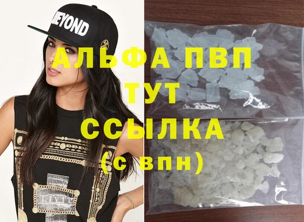 PSILOCYBIN Богданович