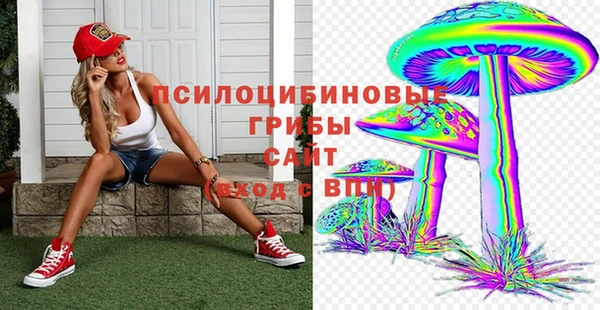 стафф Богородицк