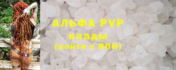 PSILOCYBIN Богданович