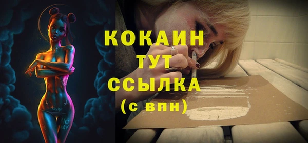 PSILOCYBIN Богданович