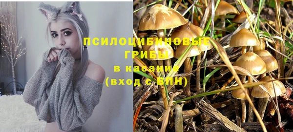 PSILOCYBIN Богданович