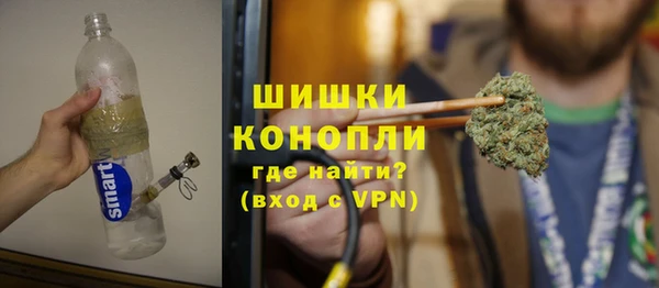 PSILOCYBIN Богданович