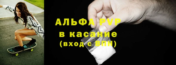 PSILOCYBIN Богданович