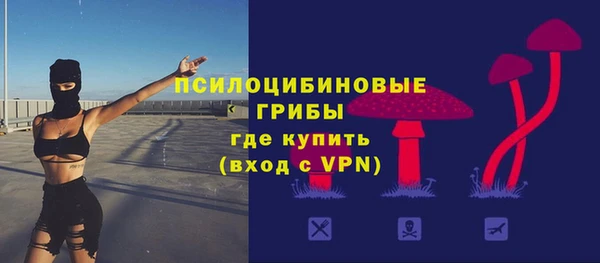 PSILOCYBIN Богданович