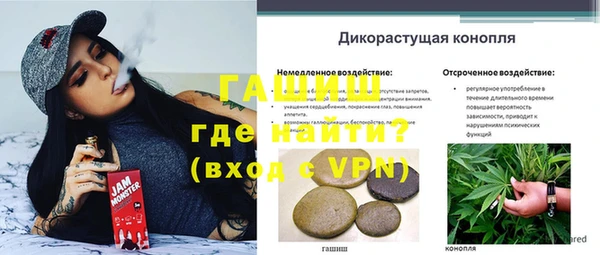 стафф Богородицк