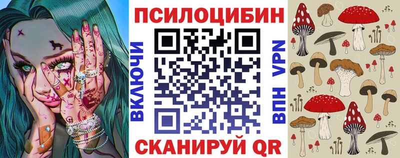 Псилоцибиновые грибы Cubensis ссылка на мегу как зайти Няндома